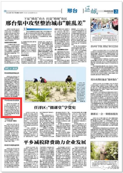 逃离外祖母家